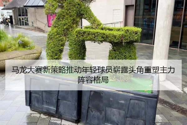 马龙大赛新策略推动年轻球员崭露头角重塑主力阵容格局